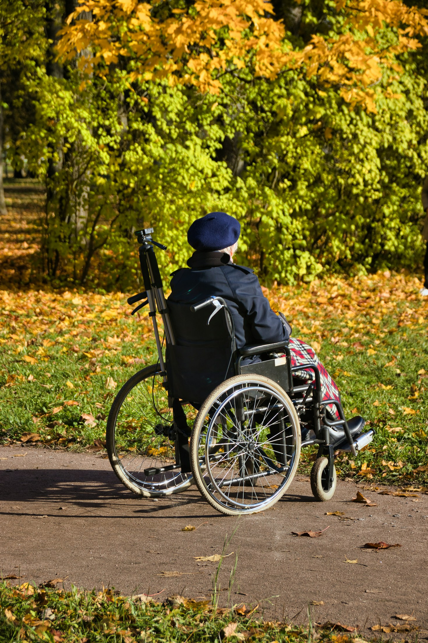 Community Events That Celebrate Inclusive Cycling